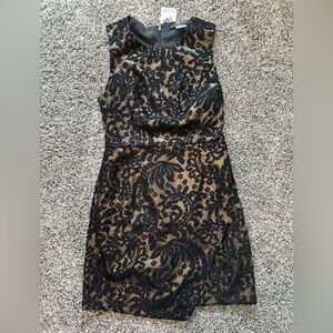 Fury Black + Gold Lace Overlay Sheath Dress